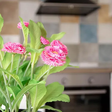 Апартаменты Rurales *