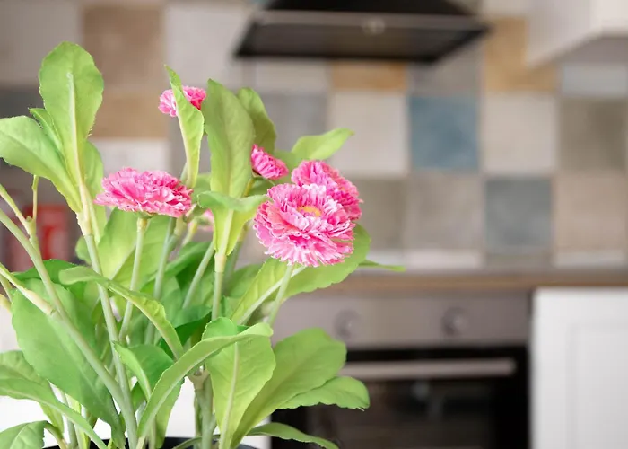 Апартаменты Rurales *